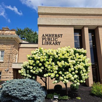 Amherst Public Library - Summertime in Amherst! - Libraries Near Me - Amherst, Ohio Amherst Public Library - Summertime in Amherst! - Libraries Near Me - Amherst, Ohio