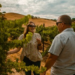 Third Wheel Tours - Immerse yourself in Paso Robles wine country history and culture.