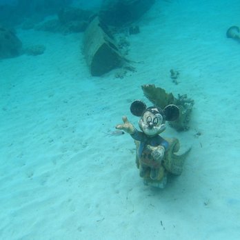 Disney Cruise Line - Snorkeling is a blast with kids. Treasures to find. - Transportation Near Me