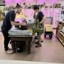 Justin and Mason tending to the monstera Justin and Mason tending to the monstera