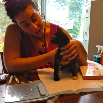 Brownstone Veterinary Care - Peggy's first exam with her new best friend, Dr. Coletti! - Veterinarians Near Me