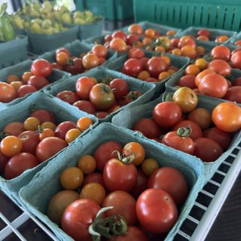 Nava Farms - Seasonal tomatoes - Farmers Market Near Me - Austin, Texas Nava Farms - Seasonal tomatoes - Farmers Market Near Me - Austin, Texas