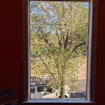 American Energy Master - a view of a tree through a window - General Contractors Near Me - College Park, Maryland American Energy Master - a view of a tree through a window - General Contractors Near Me - College Park, Maryland