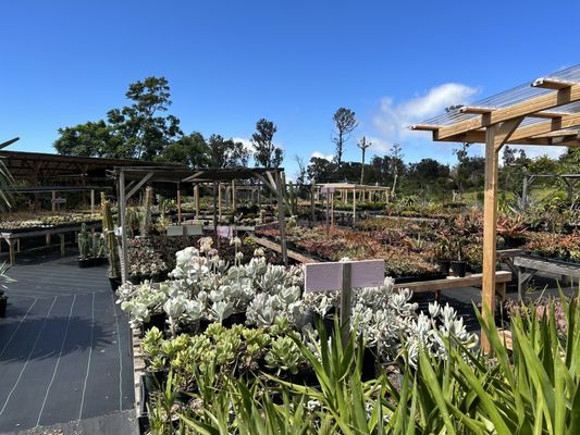 Ohana Greenhouse & Garden Supply, 320 Hoohana St, Kahului