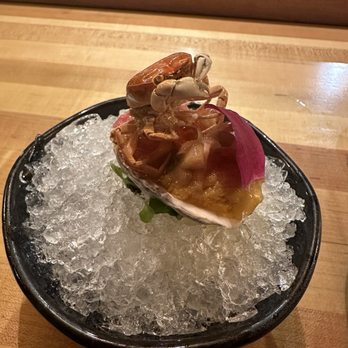 Sushi Junai Omakase - Japanese Near Me - Austin, Texas