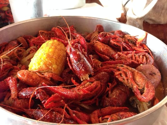Crawfish ATX by null