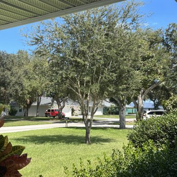 Osteen Properties - Tree Services Near Me - Vero Beach, Florida Osteen Properties - Tree Services Near Me - Vero Beach, Florida