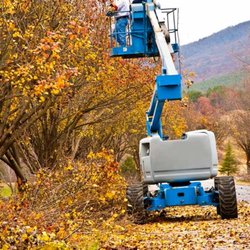 Daniel’s Tree Service