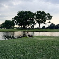 Indian Hills Golf Course - I saw a duck.