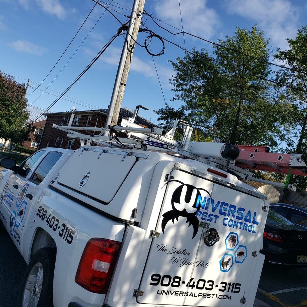 UNIVERSAL PEST CONTROL Updated September 2024 34 Photos 50 O