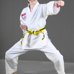 Chelsea ATA Martial Arts
