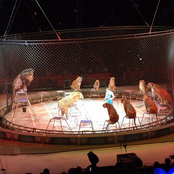 Prudential Center - At the circus. - Stadiums & Arenas Near Me - Newark, New Jersey Prudential Center - At the circus. - Stadiums & Arenas Near Me - Newark, New Jersey
