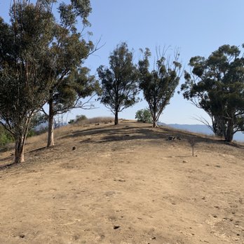 Chavez Ridge Disc Golf Course - Disc Golf Near Me - Los Angeles, California Chavez Ridge Disc Golf Course - Disc Golf Near Me - Los Angeles, California