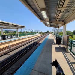 CTA Halsted