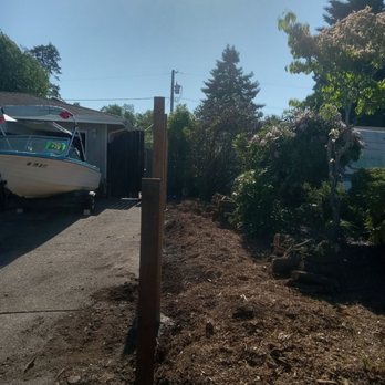 Woody's Stump Grinding and Removal - Nice and straight - Tree Services Near Me - Eugene, Oregon Woody's Stump Grinding and Removal - Nice and straight - Tree Services Near Me - Eugene, Oregon