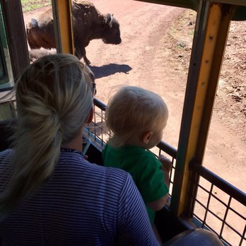 Bearizona - Zoos Near Me - Williams, Arizona Bearizona - Zoos Near Me - Williams, Arizona