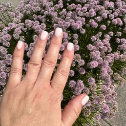Dip manicure Dip manicure