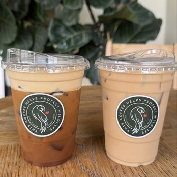 Olmos Pluma - Coffee & Tea Near Me - Olmos Park, Texas Olmos Pluma - Coffee & Tea Near Me - Olmos Park, Texas