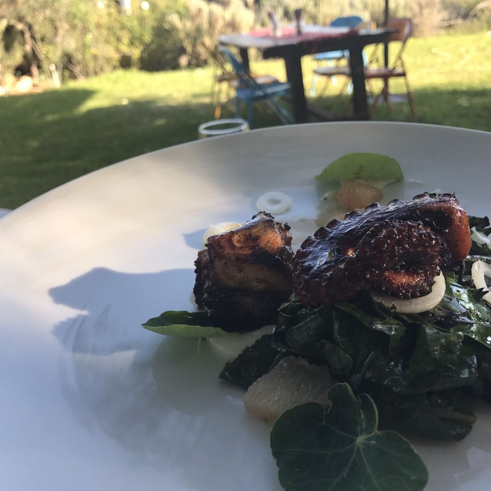 Restaurant Traslomita - The octopus with slight BBQ flavor was amazing - Seafood Near Me - Ensenada, BCN Restaurant Traslomita - The octopus with slight BBQ flavor was amazing - Seafood Near Me - Ensenada, BCN