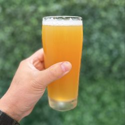 Taco Social - Madewest Brewing Co. West Coast IPA Beer (6.9% ABV)