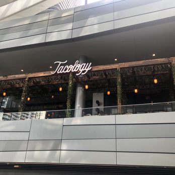 Tacology - Front of restaurant - Mexican Near Me - Miami, Florida
