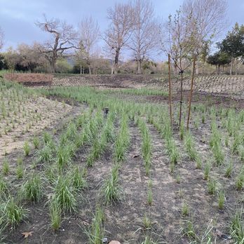 Mast Park - When the river is dry - Parks Near Me - Santee, California Mast Park - When the river is dry - Parks Near Me - Santee, California