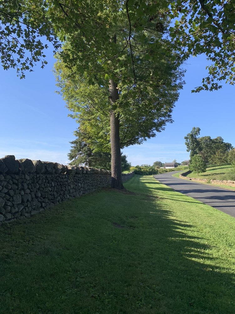 TRANQUILLITY VINEYARD & WINERY 29 Tranquility Rd, Middlebury