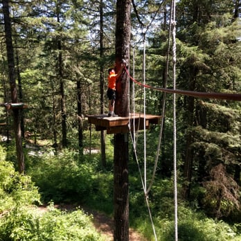 Tree to Tree Adventure Park - Amusement Parks Near Me - Gaston, Oregon