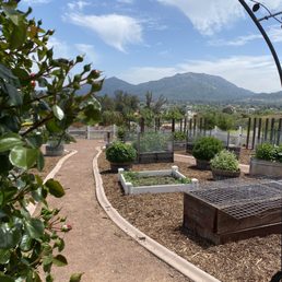 Growing garden at the rose garden paths.