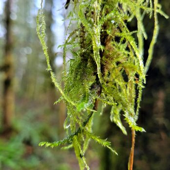 Lime Kiln Trail - Hiking Near Me Lime Kiln Trail - Hiking Near Me