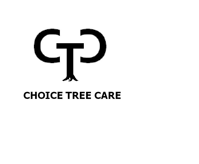 CHOICE TREE CARE Updated July 2024 Binghamton, New York Tree