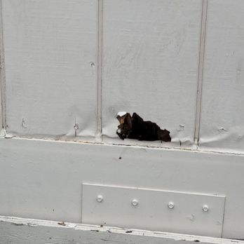 Sunny Brae Ave Elementary School - External hole with water damage - Elementary Schools Near Me - Winnetka, California
