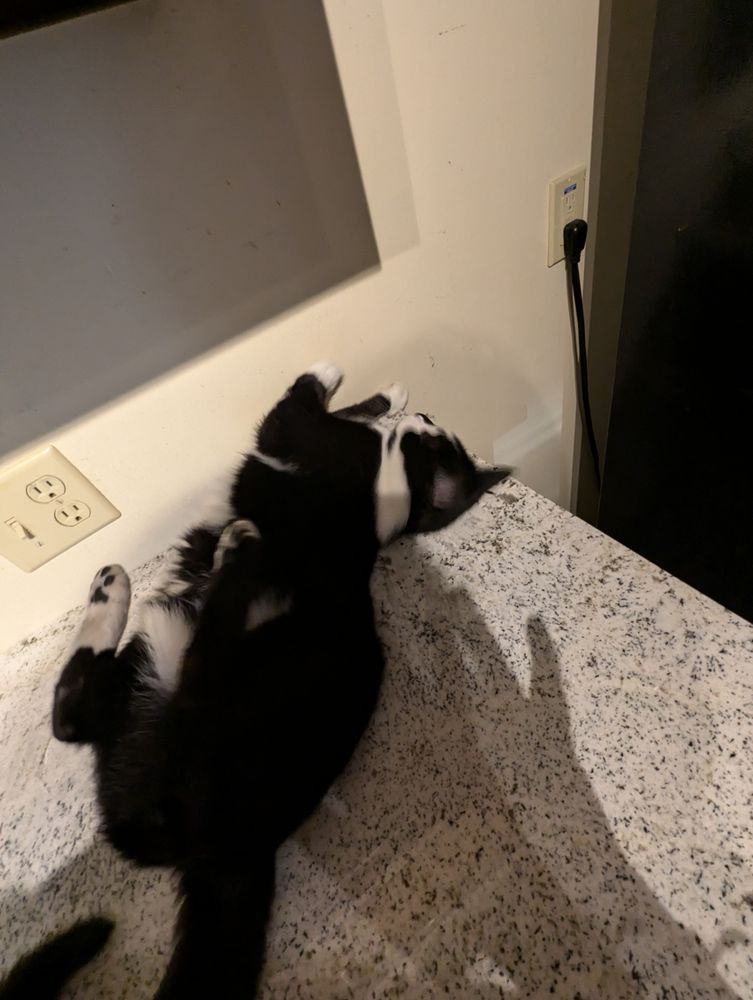 Galaxy Stone Works - countertop fabricator in Hubbard, OR