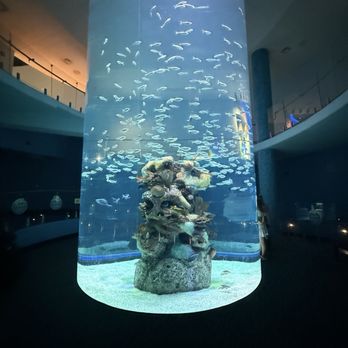 Mississippi Aquarium - Aquariums Near Me - Gulfport, Mississippi