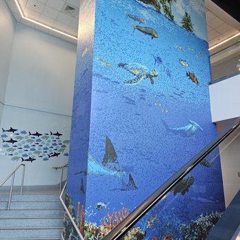 Texas State Aquarium - Aquariums Near Me - Corpus Christi, Texas