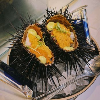 Holbox - Sea urchin and scallop ceviche - Latin American Near Me - Los Angeles, California