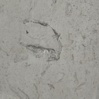 Teserra - Limestone pavers by pool.   Teserra sees no problem with this one. - Landscaping Near Me - Palm Desert, California