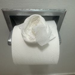 Econo Lodge - A fancy flower made by housekeeping!