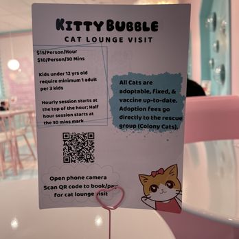Kitty Bubble Cafe & Bar - Cat visit info - Cafes Near Me - Columbus, Ohio Kitty Bubble Cafe & Bar - Cat visit info - Cafes Near Me - Columbus, Ohio