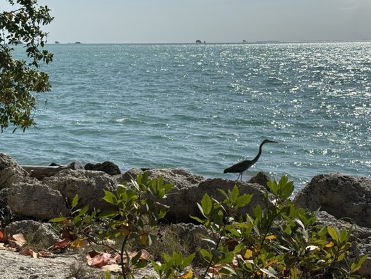 Bill Baggs Cape Florida State Park by null
