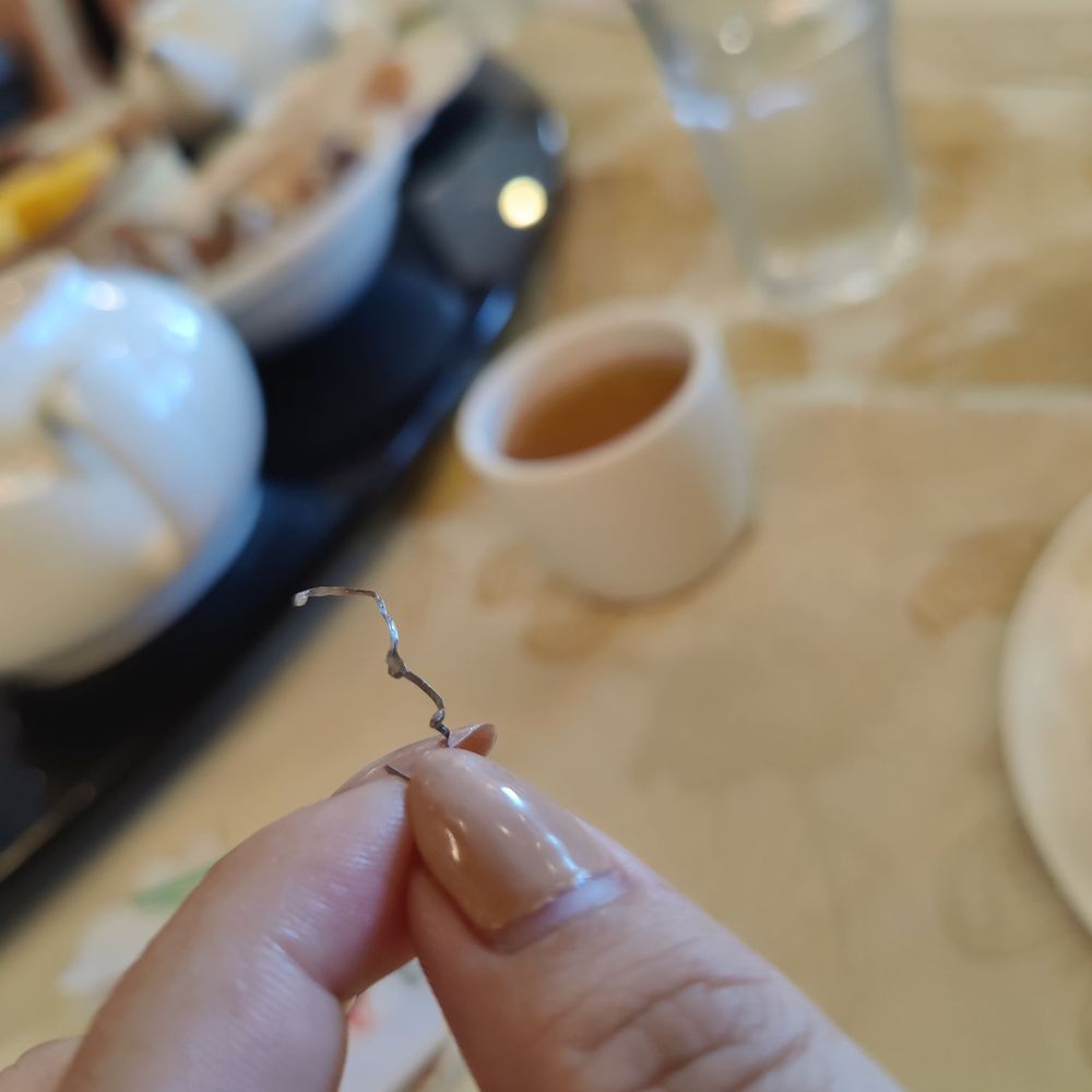 Phoenix Restaurant - Steel wire in the food - Dim Sum Near Me - Chicago, Illinois Phoenix Restaurant - Steel wire in the food - Dim Sum Near Me - Chicago, Illinois
