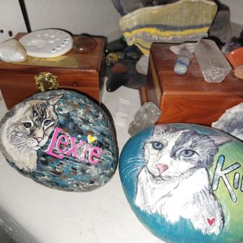 Ahwatukee Commons Veterinary Hospital - MY BABIES BOTH DIED 12. DIED Within 2 WEEKS OF BEING SEEN HERE.  WATCH YOUR PETS HERE! - Veterinarians Near Me - Phoenix, Arizona