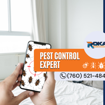 Roka Pest Management - Pest Control Near Me - Menifee, California Roka Pest Management - Pest Control Near Me - Menifee, California