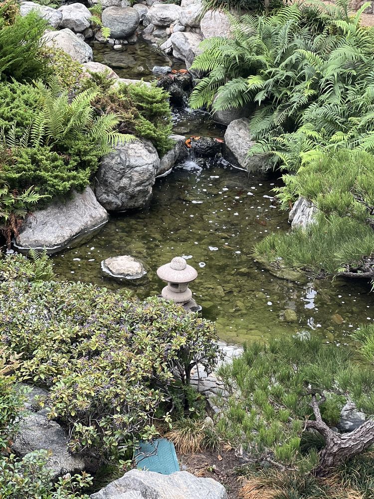 JAMES IRVINE JAPANESE GARDEN 151 Photos & 70 Reviews 244 S San