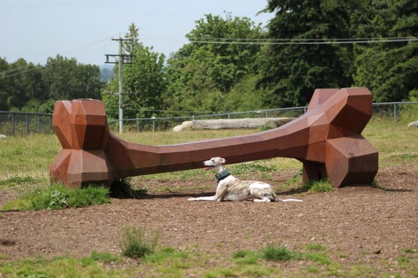 biggest dog bone ever