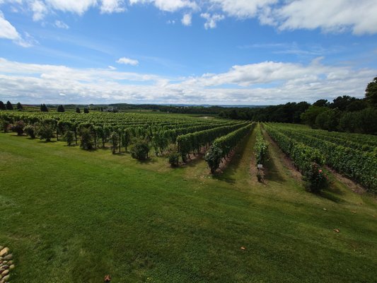 Chateau Grand Traverse by null