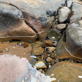 Abalone Cove Park - Parks Near Me - Rancho Palos Verdes, California
