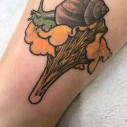 My chanterelle  bb