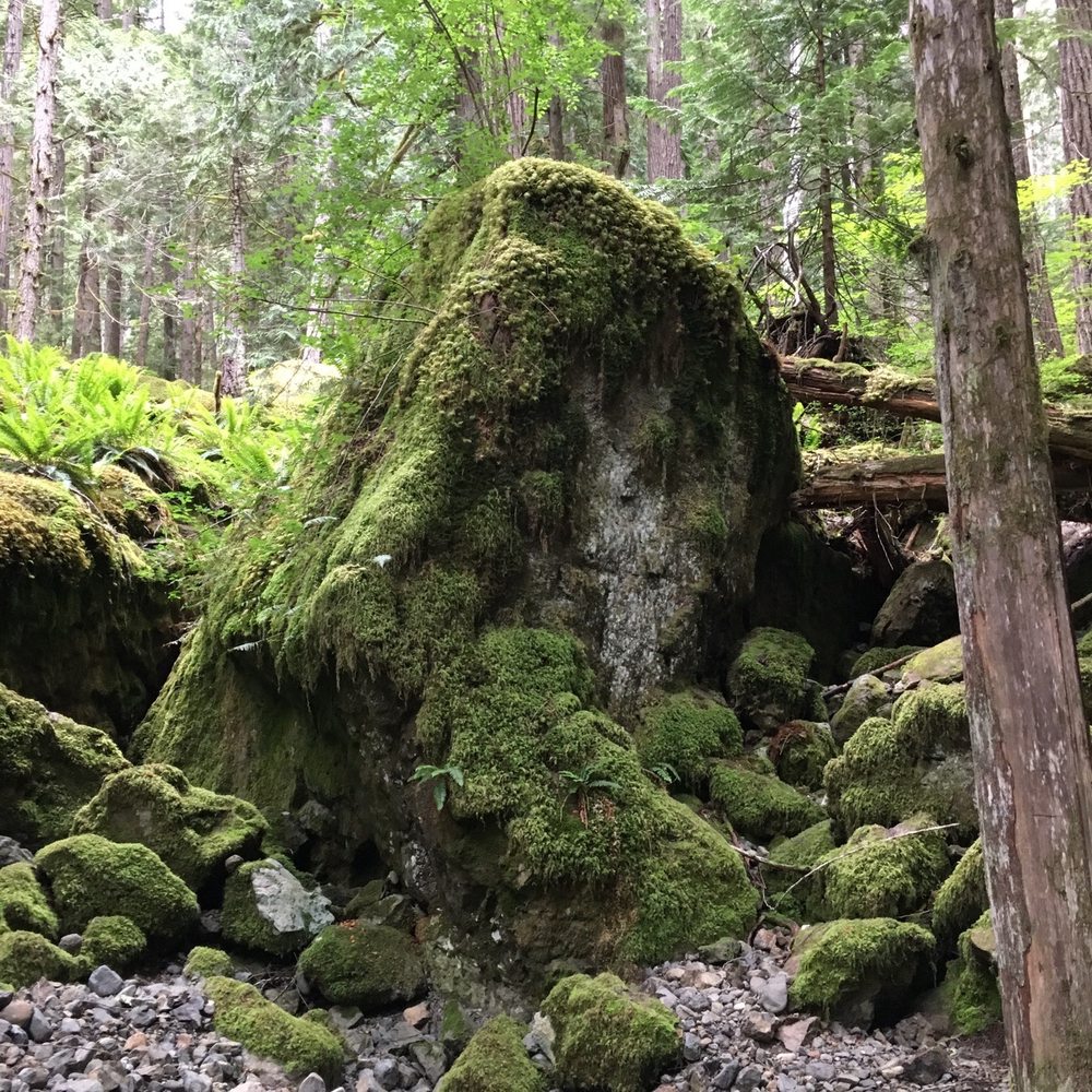 Lena Lake - Hiking Near Me - Lilliwaup, Washington