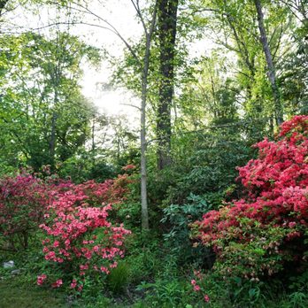 KINNEY AZALEA GARDENS - Updated February 2026 - 59 Photos & 10 Reviews